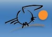 FundaçÃ£o Cidade de Lisboa