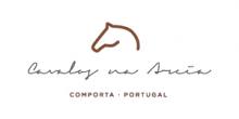 Cavalos na Areia