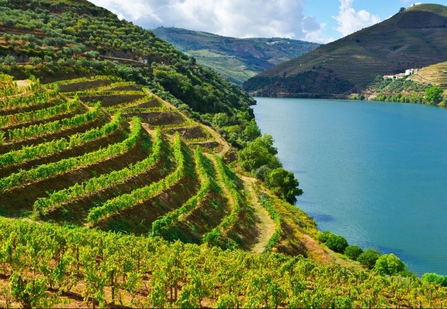 Douro Is World Heritage