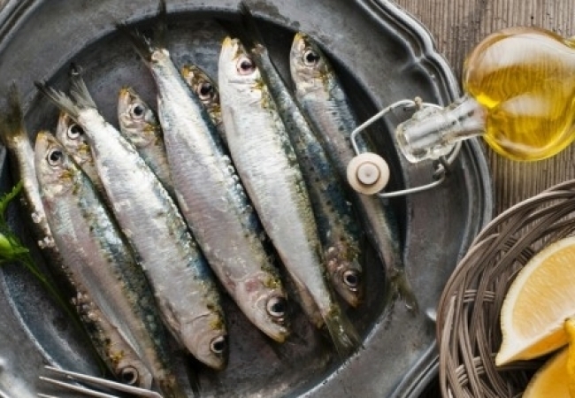 Portuguese Fish Is the Best In the World